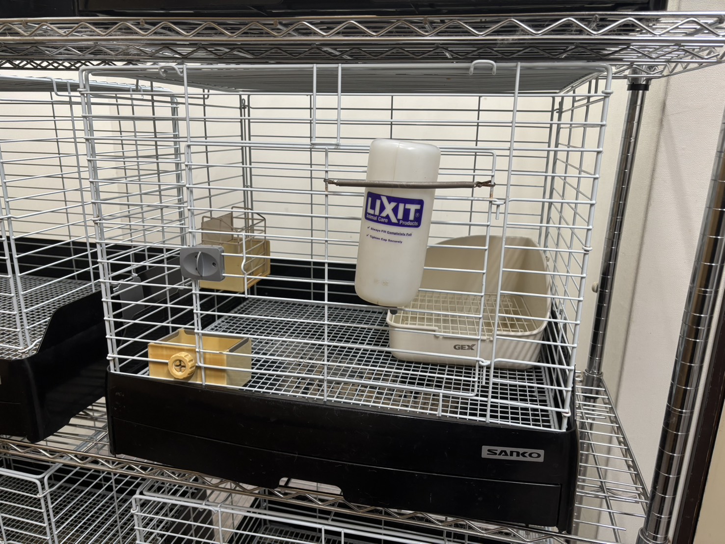 うさぎのホテル風景1