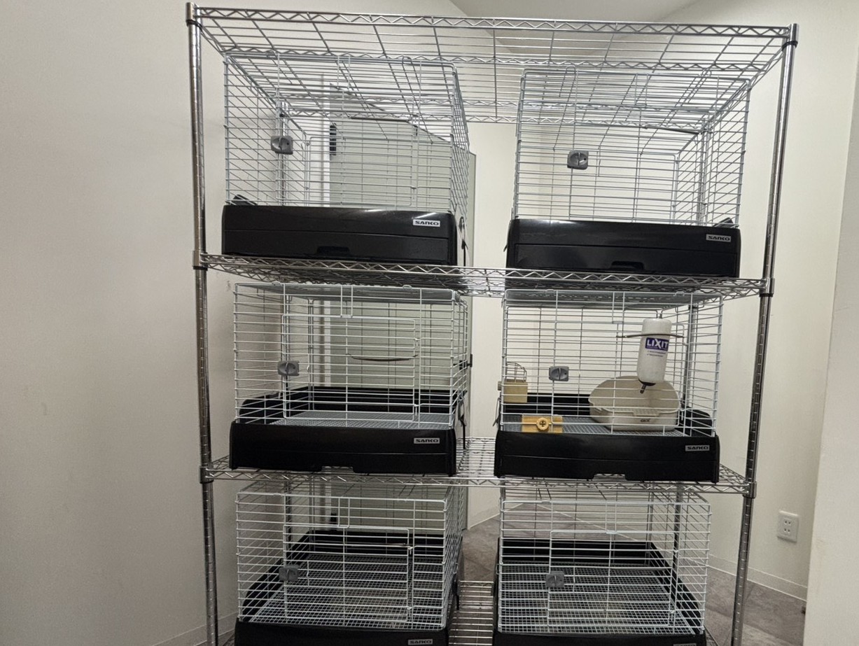 うさぎのホテル風景2