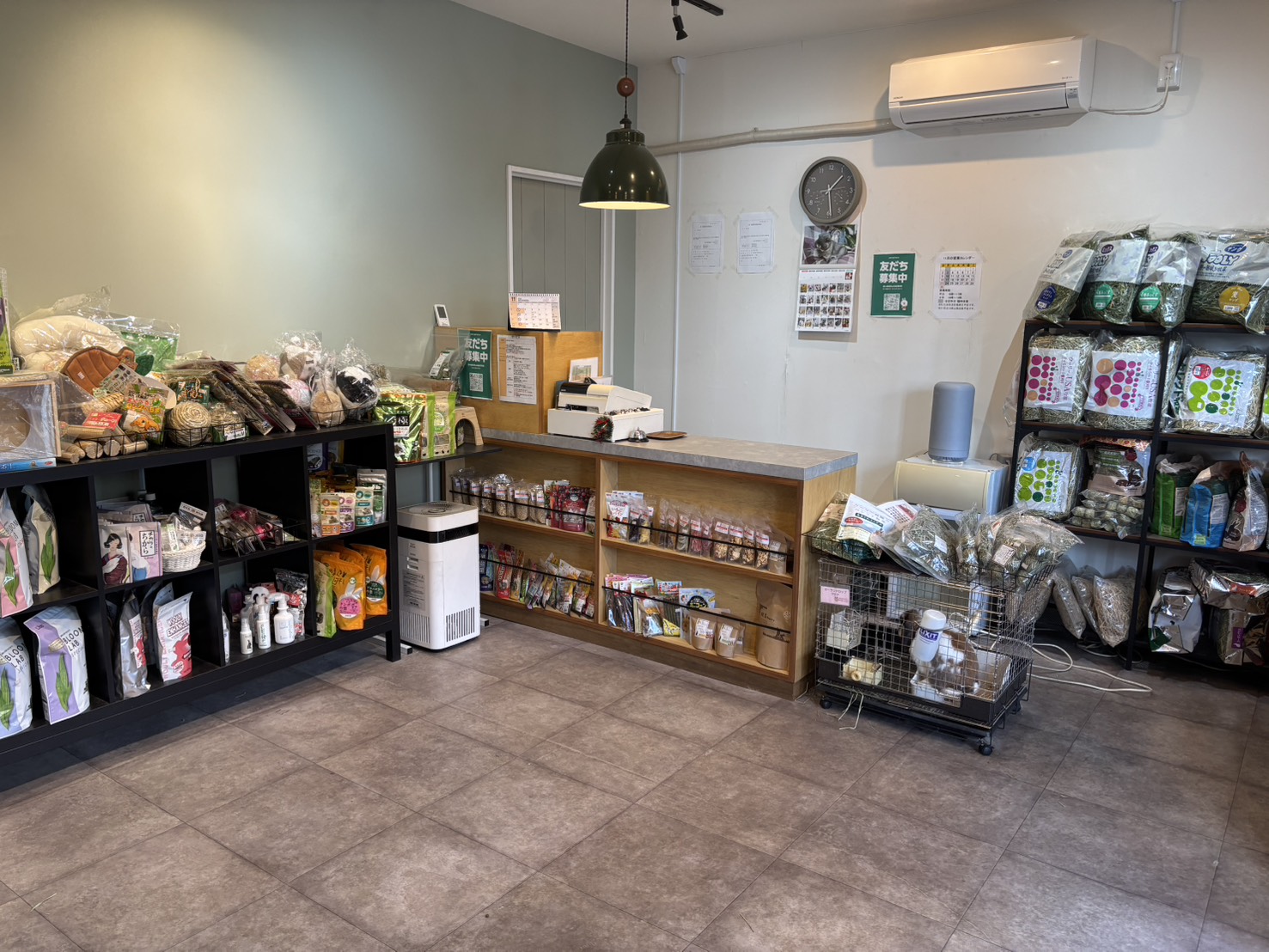 RabbitWish 店舗内観1
