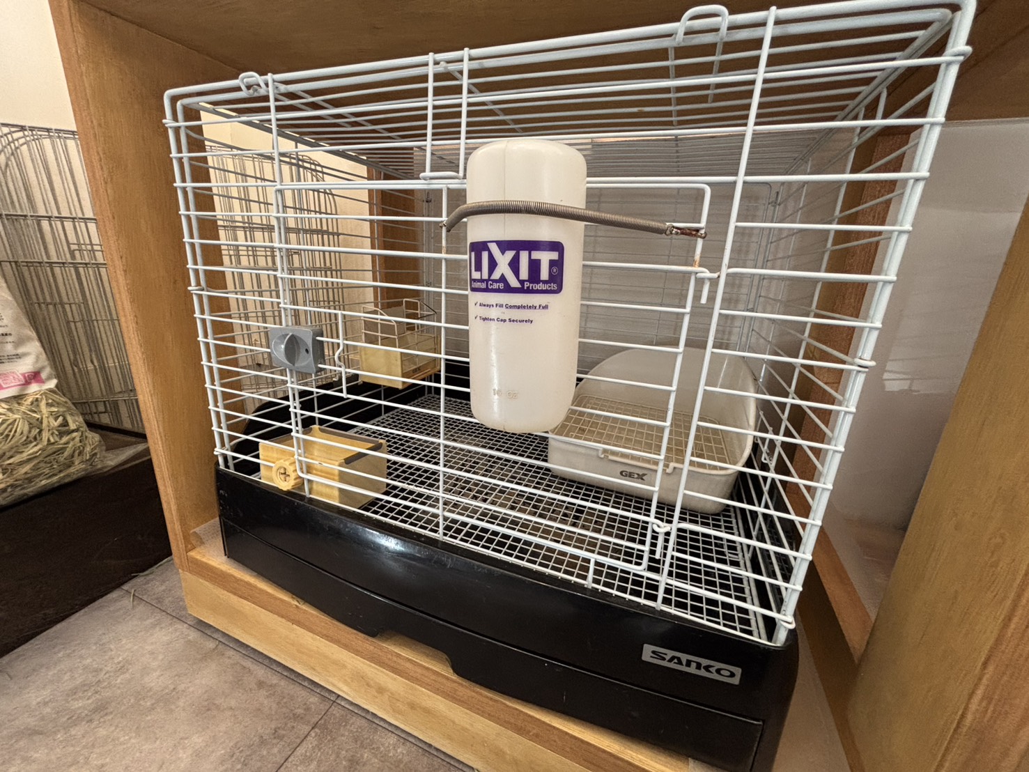 清潔なうさぎの飼育環境